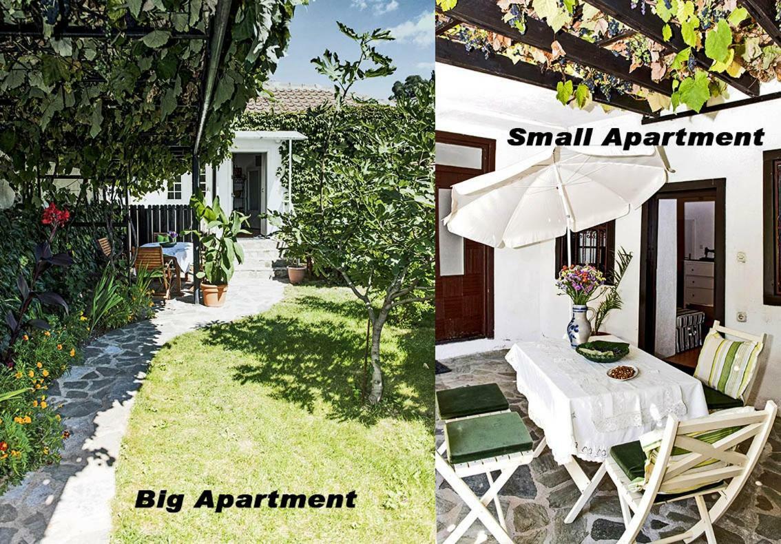 Apartments Villa Elisabeth Ohrid Buitenkant foto